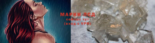 гидра Аркадак
