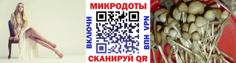 Купить  Сафоново  Галлюциногенные грибы Magic Shrooms 